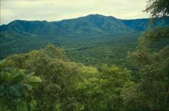 Paradise-like land in Gambella is sold to foreigners as indigenous people are forced out