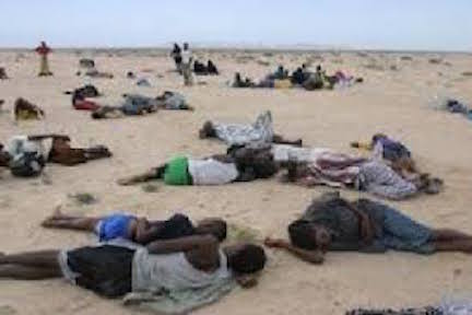 Bodies of Ethiopian refugees strewn on the Yemeni cost of Khor Omariah