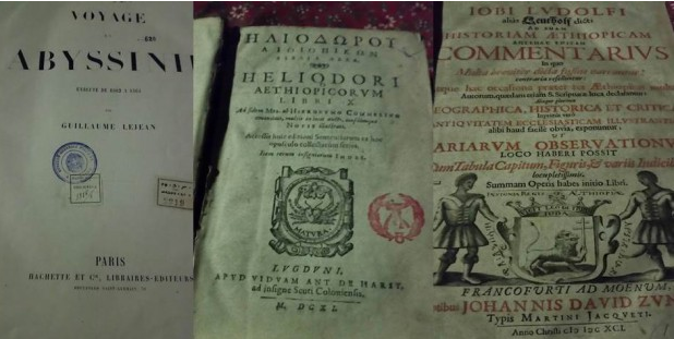 What is behind TPLF's rush to destroy books?