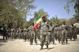 Making troops for hire available is an important source of income for the Ethiopian regime